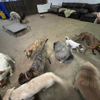 Sticks n Bones - Pet Training Near Me - Innisfil, Ontario Sticks n Bones - Pet Training Near Me - Innisfil, Ontario