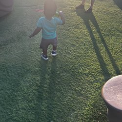 Beard Park