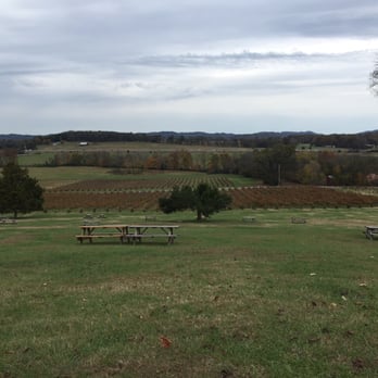 Arrington Vineyards - View from our picnic table! - Wine Tasting Room Near Me - Arrington, Tennessee