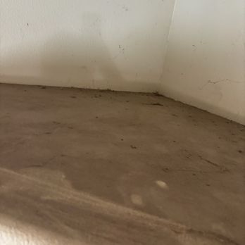 Bubbles Cleaning Service - Home Cleaning Near Me Bubbles Cleaning Service - Home Cleaning Near Me