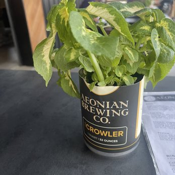 Aeonian Brewery - a can of beer on a table - Brewpubs Near Me - Alliance, Ohio Aeonian Brewery - a can of beer on a table - Brewpubs Near Me - Alliance, Ohio