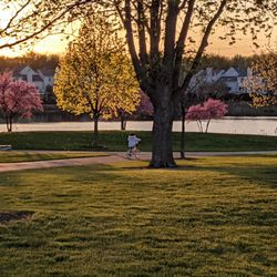 Spring Lake Park