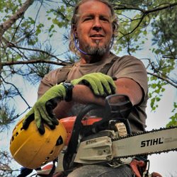 Beartooth Tree Service