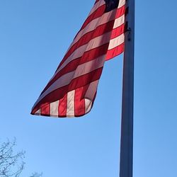 Leland Library - Leland Library flag