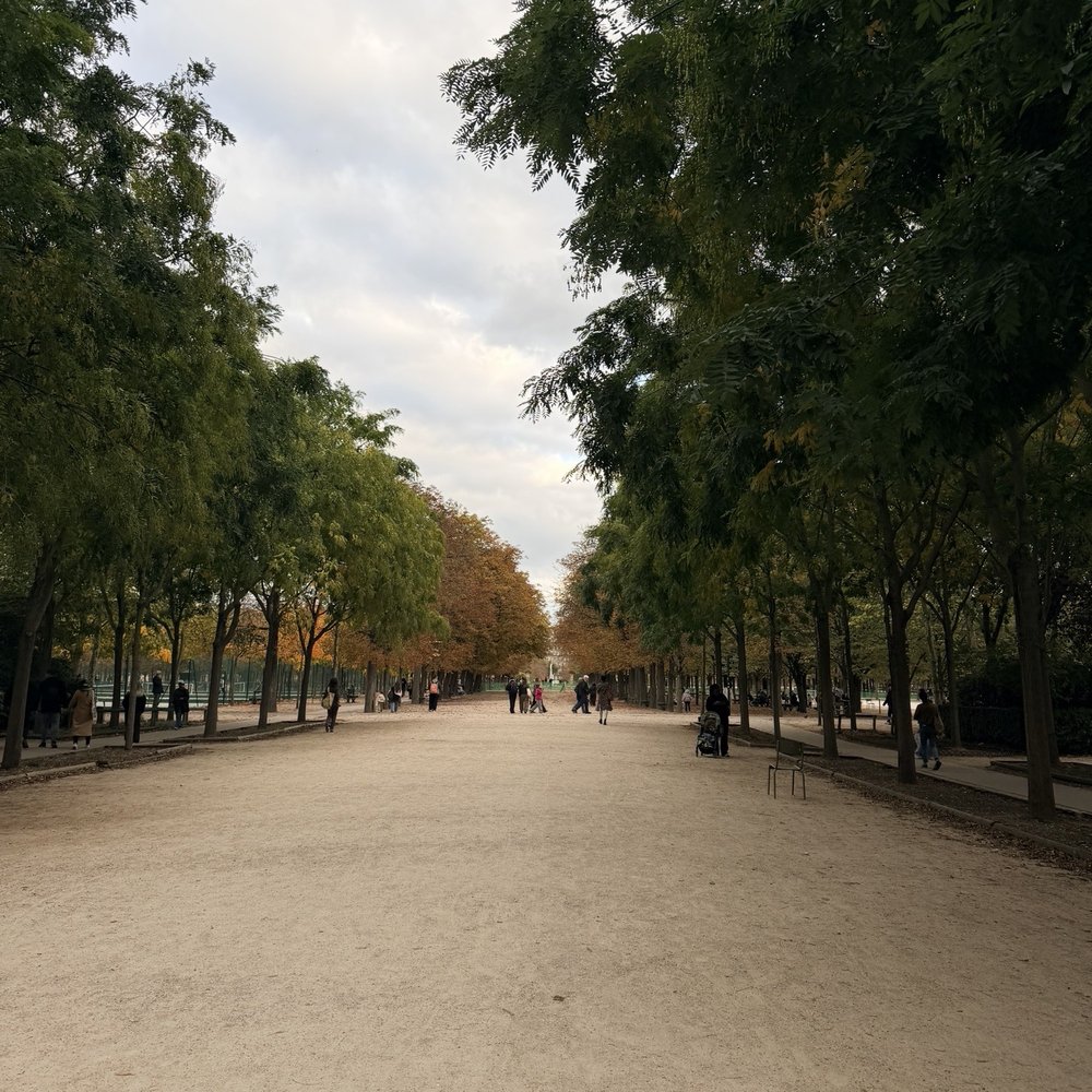 Jardin du Luxembourg - Fall in Paris. Oct 2025 - Parks Near Me - Paris, 75 Jardin du Luxembourg - Fall in Paris. Oct 2025 - Parks Near Me - Paris, 75