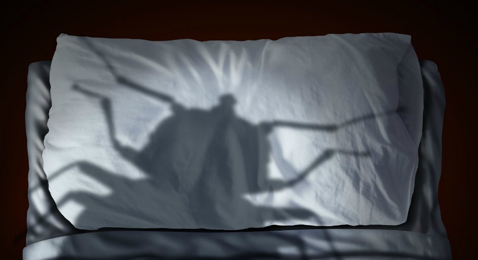 BED BUG HEAT TREATMENT BURBANK Updated May 2024 Burbank, California