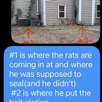 Critter Control - Pest Control Near Me Critter Control - Pest Control Near Me