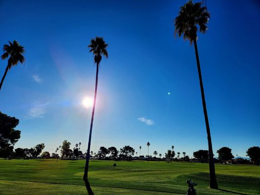 Sun City Country Club by null