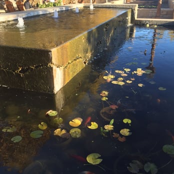 R+D Kitchen - Koi pond - New American Near Me - Yountville, California