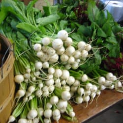 Elmridge Farm - Spring radishes