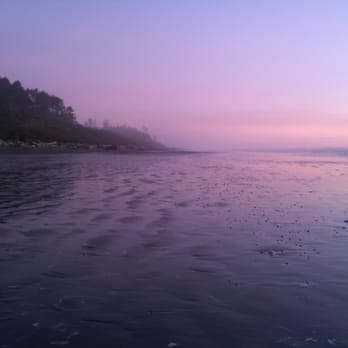 South Beach Campground - Misty fog of the Pacific Ocean-side - Beaches Near Me South Beach Campground - Misty fog of the Pacific Ocean-side - Beaches Near Me