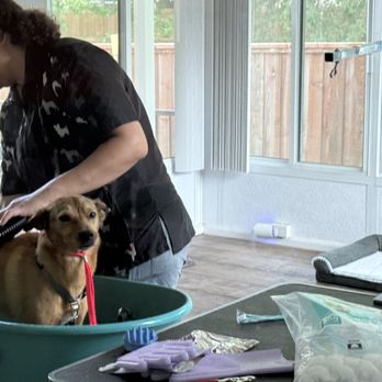 Grooming By Samara - Pet Sitting Near Me - Crandall, Texas Grooming By Samara - Pet Sitting Near Me - Crandall, Texas