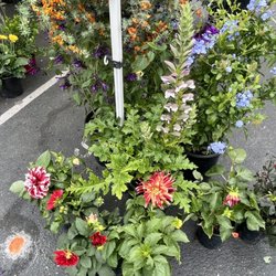 Aptos Farmers Market