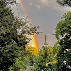 Platform Z - At the end of the rainbow...Platform Z!