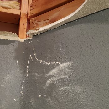 Luxe Home Service - undefined - Carpet Cleaning Near Me
