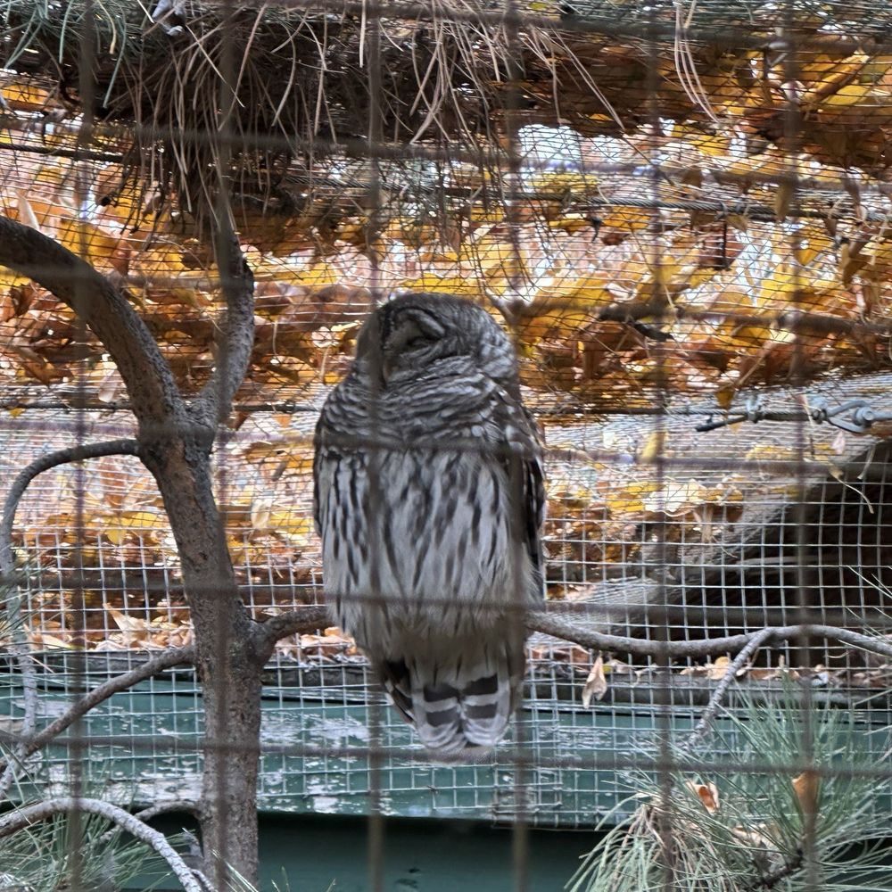 BC Wildlife Park - Zoos Near Me - Kamloops, British Columbia BC Wildlife Park - Zoos Near Me - Kamloops, British Columbia