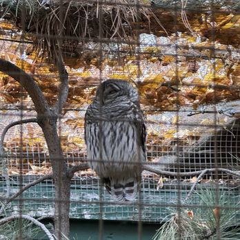BC Wildlife Park - Zoos Near Me - Kamloops, British Columbia BC Wildlife Park - Zoos Near Me - Kamloops, British Columbia