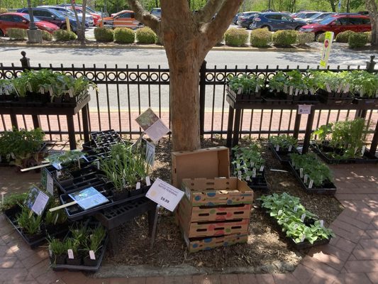 Weaver Street Market by null