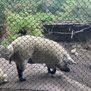 Minnesota Zoo - Zoos Near Me - Apple Valley, Minnesota Minnesota Zoo - Zoos Near Me - Apple Valley, Minnesota