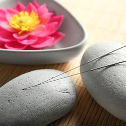 Mark Acupuncture