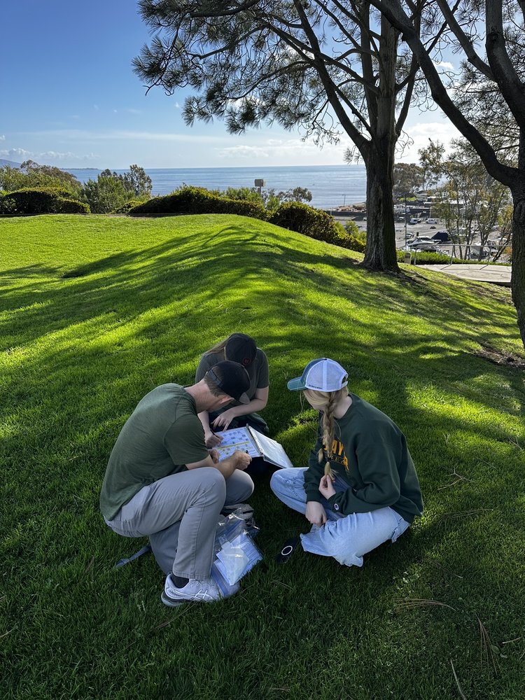 Murder Mystery Scavenger Hunt - Dana Point Logo