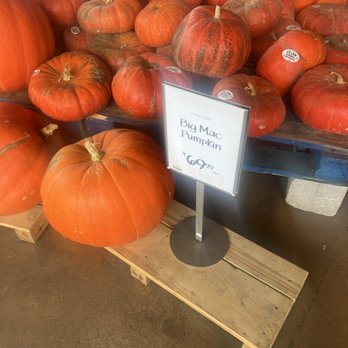 Whole Foods Market - Grocery Near Me - Bee Cave, Texas Whole Foods Market - Grocery Near Me - Bee Cave, Texas