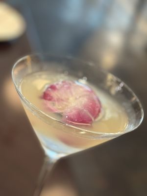 db Bistro & Oyster Bar by Daniel Boulud by null
