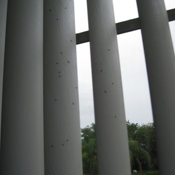 Nozzle Nolen Pest Solutions - Blinds - Pest Control Near Me - Lake Worth, Florida Nozzle Nolen Pest Solutions - Blinds - Pest Control Near Me - Lake Worth, Florida