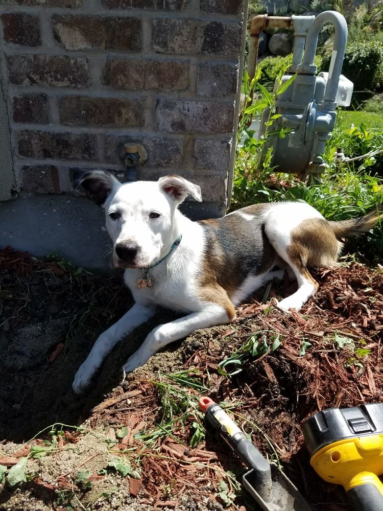 Slide of South Valley Backflow Testing Service