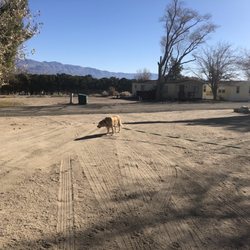 Lone Pine Mobile Oasis