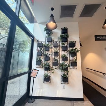 Formation Brewing - Plants, exit for bathroom - Brewpubs Near Me - Phoenix, Arizona Formation Brewing - Plants, exit for bathroom - Brewpubs Near Me - Phoenix, Arizona