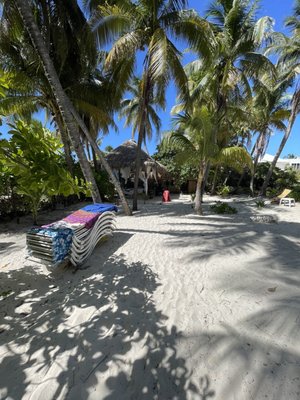 Playa Norte by null