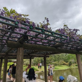 Hermann Park - Trellis in Japanese Garden - Parks Near Me - Houston, Texas