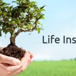 Ortega Business Consulting - Love ones can't be replaced but family always is going to appreciate don't be in financial hardship