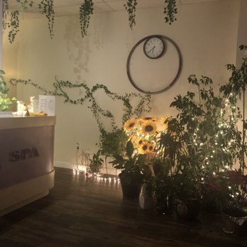 Skyline Asian Massage - Skyline plants are all happy. - Massage Near Me - Richmond, Virginia Skyline Asian Massage - Skyline plants are all happy. - Massage Near Me - Richmond, Virginia