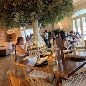 Spicy Mango - Atmosphere top tier - Caribbean Near Me - New Orleans, Louisiana Spicy Mango - Atmosphere top tier - Caribbean Near Me - New Orleans, Louisiana
