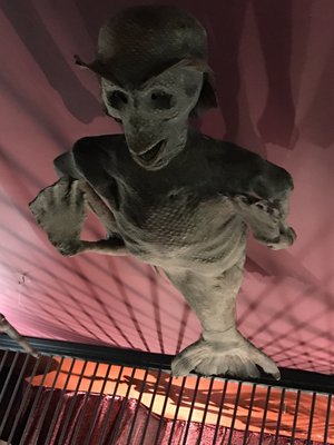 The Viktor Wynd Museum of Curiosities, Fine Art & UnNatural History by null
