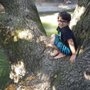 Photo of Napa River Ecological Reserve