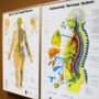 Photo of David Picarello, DC - Mountain Park Chiropractic