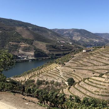 Quinta Nova de Nossa Senhora do Carmo - Vineyard - Wineries Near Me - Covas do Douro, 17
