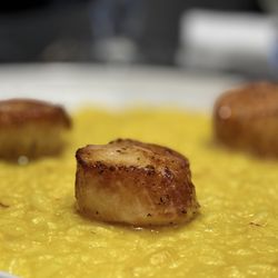 Smoke And Mirrors - Scallop Risotto