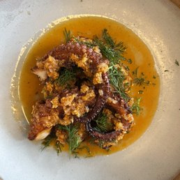 Octopus Octopus