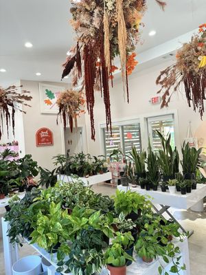 Nourish Botanica by null
