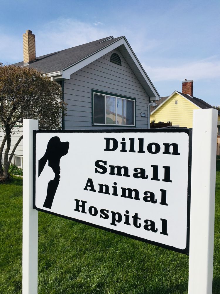 DILLON SMALL ANIMAL HOSPITAL Updated August 2024 229 S Atlantic St