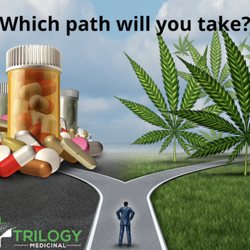 Trilogy Medicinal