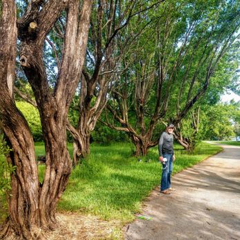 West Lake Park - Nice pathways - Parks Near Me - Hollywood, Florida West Lake Park - Nice pathways - Parks Near Me - Hollywood, Florida