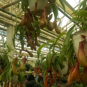 Hicks Nurseries - Nurseries & Gardening Near Me - Westbury, New York