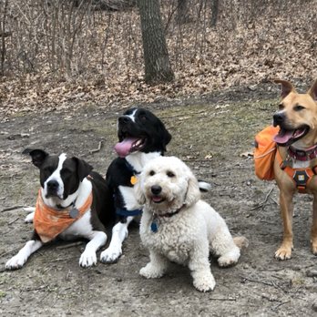 Enlightened Pet Care - Pet Sitting Near Me Enlightened Pet Care - Pet Sitting Near Me