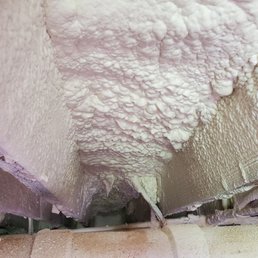 Foam
