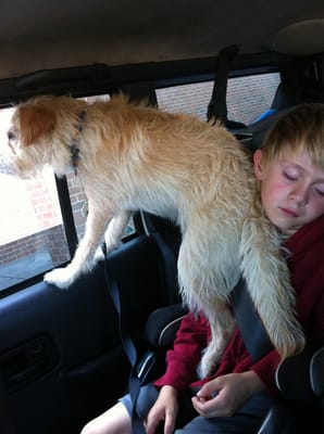 East Harbor State Park by null